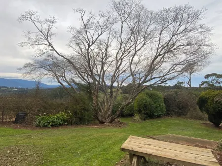 Cherry Haven farmhouse overlooking Yarra Valley