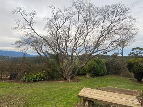 Cherry Haven farmhouse overlooking Yarra Valley