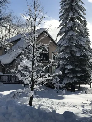 Private Chalet with views and a Sauna