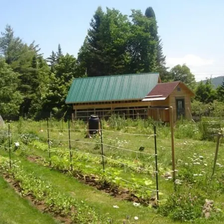 GLAMP SUZANNE: CANVAS CABIN ON PRETTY ADIRONDACK FARM OFFERS PRIVACY AND VIEWS