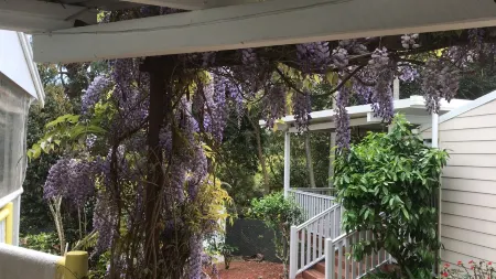 Best location on the mountain! 2 min from Gallery Walk and all place of interest