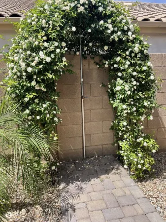 3BR 2BA Pool, Outdoor Shwr, Lovely ‘SunDream' Отели рядом с достопримечательностью «Arizona State University Polytechnic Campus»