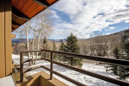 Bright & Airy Modern Cozy Condo in the Heart of Snowmass Village Отели рядом с достопримечательностью «Аспен Сноумасс Ски Резорт»