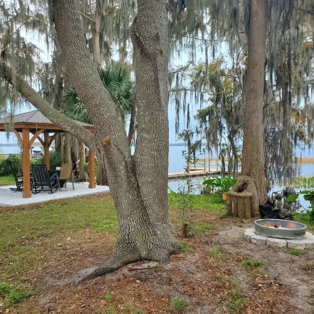 Lakefront Magic Wilderness Cabin