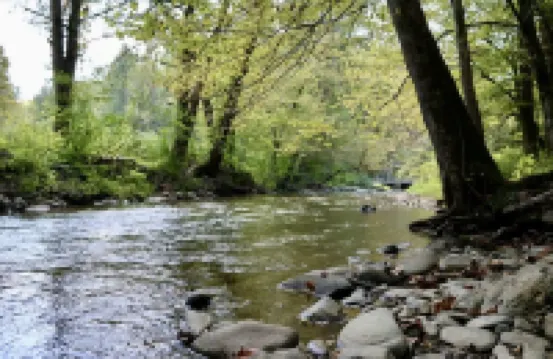 Amazing Creekside Glamping Dome in Park-Like Setting with Hot Tub & A/C!