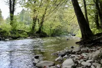 Amazing Creekside Glamping Dome in Park-Like Setting with Hot Tub & A/C! Hotel a Pittman Center
