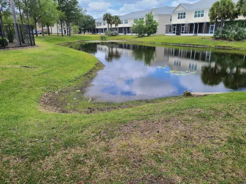 Cozy Townhouse 5 mins from Restaurants & Outlets, 20 mins from Downtown Tampa Hotels in Wesley Chapel