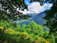 🏔 The Little Barn – A Cozy Hideaway in the Heart of the Pyrenees