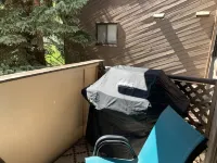 Renovated Condo steps from the Beaver Creek shuttle!