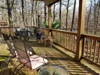 Relax among the palms at Reeled Inn on Beautiful Lake Gaston