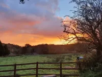 Spacious dog-friendly cottage in an idyllic rural setting near amazing beaches
