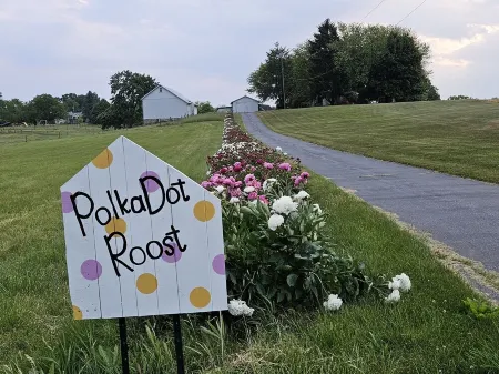 Cozy Farmhouse with Views and Amenities! Pet-Friendly, Baby Goats and Chickens!