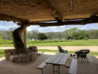 Las Palmas Tree Haus - Cloud Lane - 4-Star