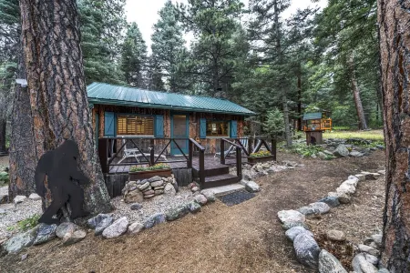 Rustic Cozy Cabin at the Base of Greenhorn Mountain.