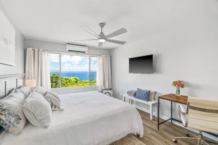 NEW! Tropical Oceanfront Piece of Paradise, Every Room with Ocean Views and A/C!