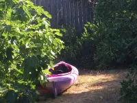 Bicheno Beach House Hotels in Bicheno