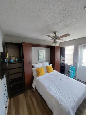 The Oshun Suite- Hidden Gem on Gated Estate near USF & Busch Gardens 레터스 레이크 공원 보드웍 앤드 네이쳐 트레일 옵셔베이션 타워 주변 호텔