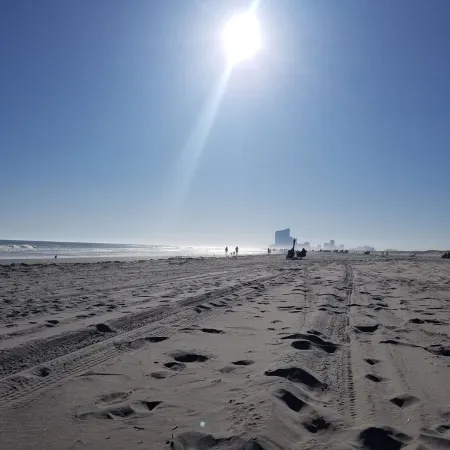 Ocean Ave 5Br: Huge Fenced Yard, Pet Friendly, 2 Houses to Beach + Shark Park!