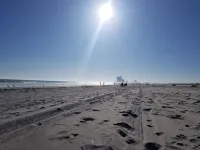 Ocean Ave 5Br: Huge Fenced Yard, Pet Friendly, 2 Houses to Beach + Shark Park! - Beach