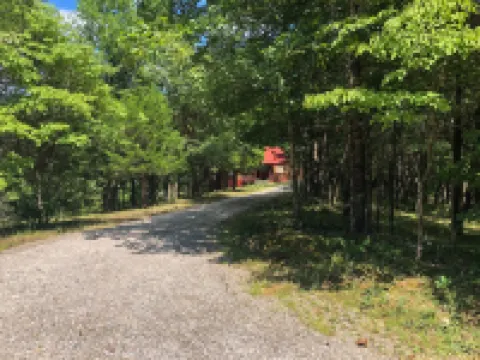 The cottage on the hill in the woods
