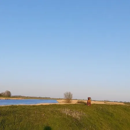 Friedrichstadt: Thatched-Roof Cottage on the Eider Dike with Sun Terrace Near the North Sea