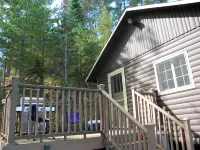 Wilderness modern lake cabin