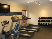 Hampton Inn St. Louis/Chesterfield - Gym