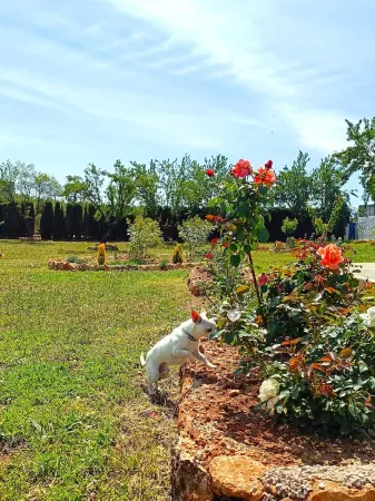 Casa Almendros Piscina Privada en Sierra de Cazorla