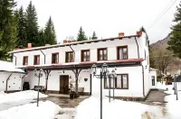 Pensiunea Rhein فنادق في 