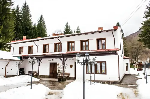 Pensiunea Rhein Hotels in Busteni