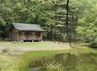 Very private log cabin nestled in the woods to unwind & unplug.