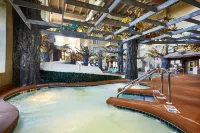 Holiday Inn & Suites MADISON WEST - MIDDLETON by IHG - badewanne