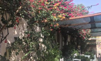 Syds Guesthouse I