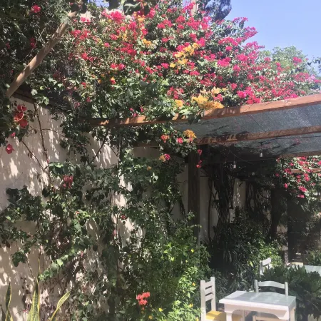 Syds Guesthouse I