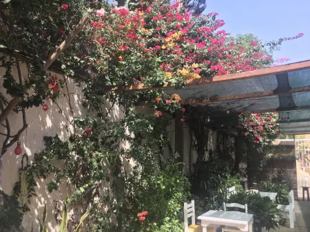 Syds Guesthouse I Отели в г. Прая