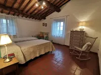 Farmhouse in Tuscany with Olive Grove Views - Wifi