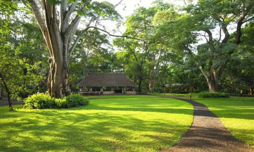 Rivertrees Country Inn