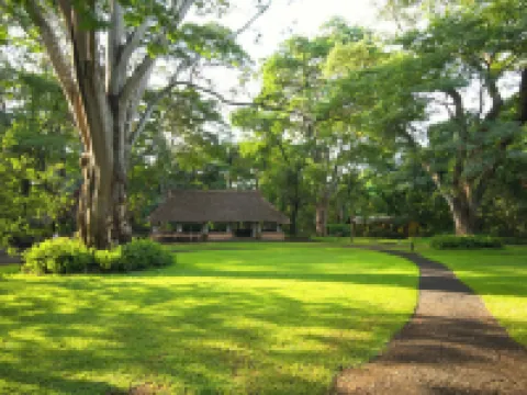 Rivertrees Country Inn Hotels in Arumeru