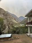 The Woods - Tirthan Valley