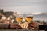 維塔客房 - 酒吧
