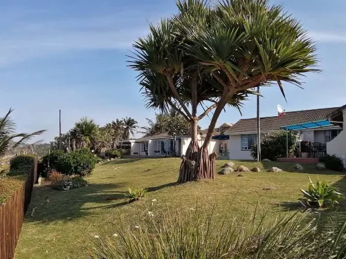 서던 컴포트 - 페리윙클