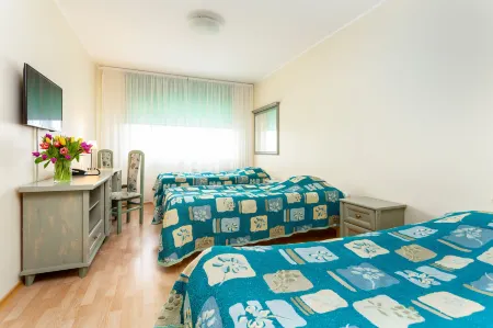 Hotel Dzingel