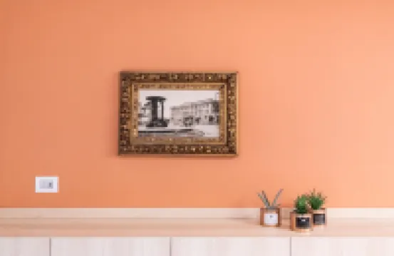 卡託裏卡的仁慈23號