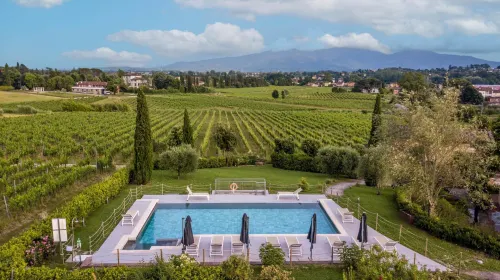 Elisa Farmhouse Apartment in Wine Resort in Lucca