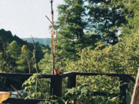 Sana Yasam Koyu Hotels in Findikli