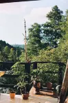 Sana Yasam Koyu Hôtels à : Findikli