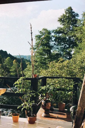 Sana Yasam Koyu Отели в г. Findikli