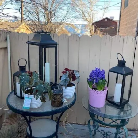 Wild West Rockies! PET FRIENDLY!2 Fenced-in yards!JACUZZI HOT TUB!