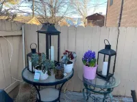 Wild West Rockies! PET FRIENDLY!2 Fenced-in yards!JACUZZI HOT TUB!