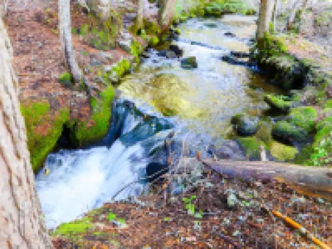 Snow Shire Cabin Hotels in Government Camp